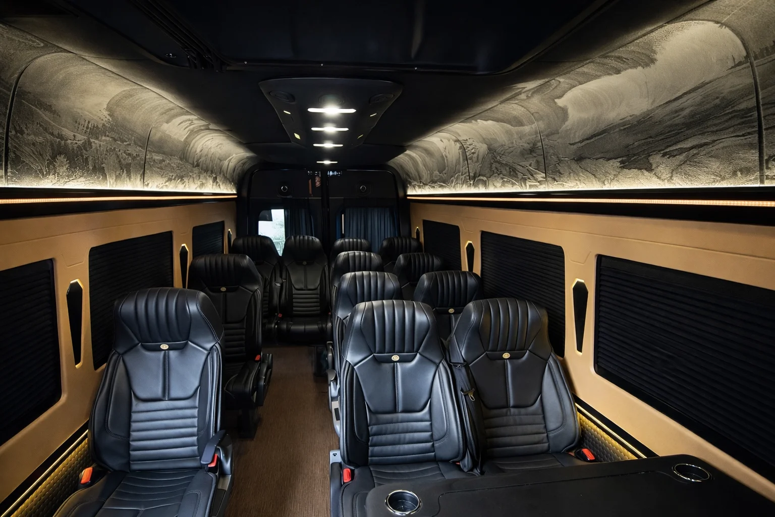 Sprinter siyah deri iç mekan